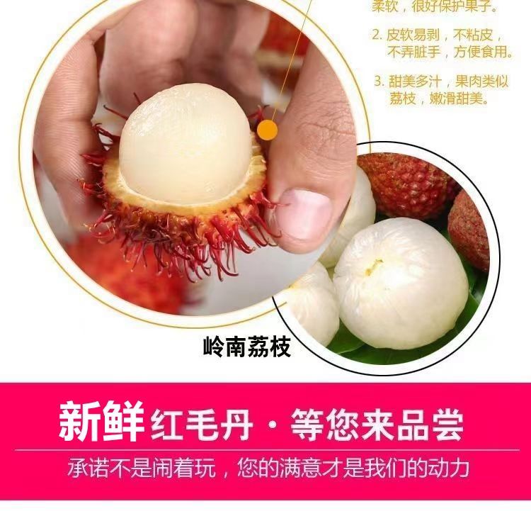 红毛丹毛荔枝新鲜水果应季热带孕妇水果