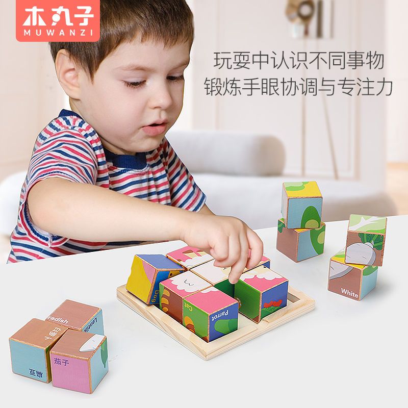 儿童益智木头3d立体模型拼装玩具幼儿园男女孩木质六面画拼图积木