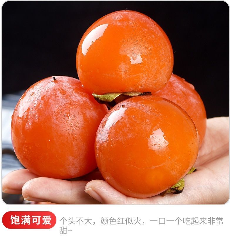 火晶柿子陕西临潼软小柿子超甜新鲜水果应季甜柿批发市场非大柿子