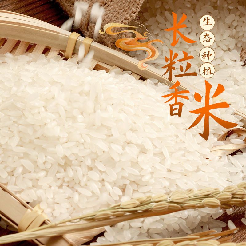 五常大米长粒香米黑龙江种植基地2022年新米稻花香米10斤批发现磨