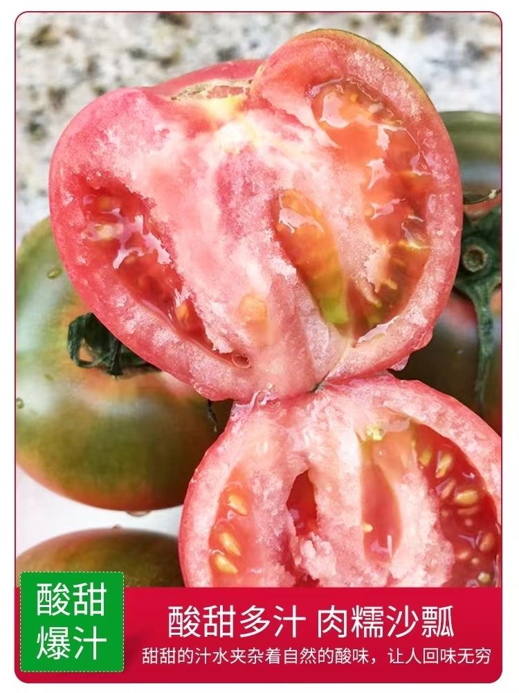  丹东铁皮西红柿草莓水果生吃孕妇新鲜自然熟应季农家番茄