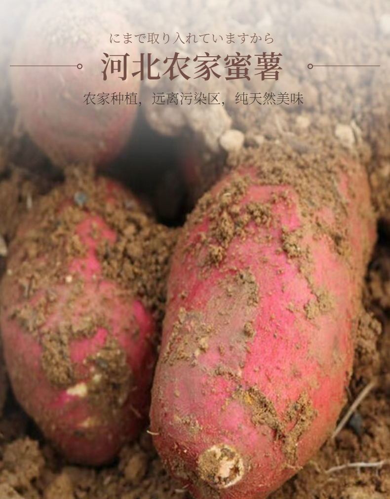 香脆红薯片薄脆地瓜片干250g红薯干番薯片山芋干农家自制网红零食