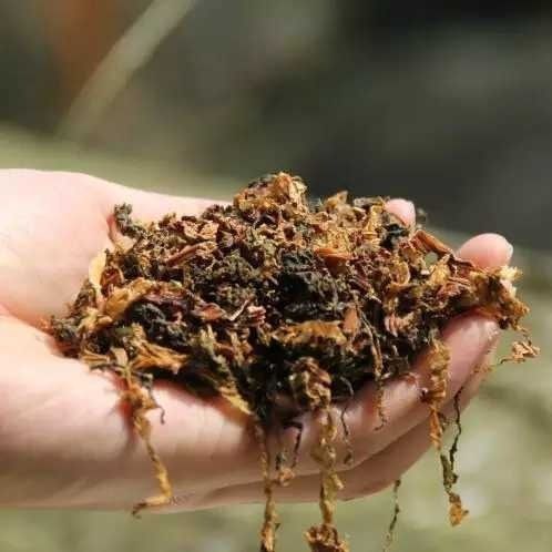 重庆万州馆子专用老咸菜晒干咸菜盐菜万州老坛梅干菜扣肉烧白盐菜