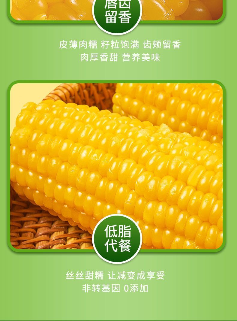 黄糯玉米新鲜糯玉米东北粘糯玉米甜玉米真空包装低脂代餐真空包装