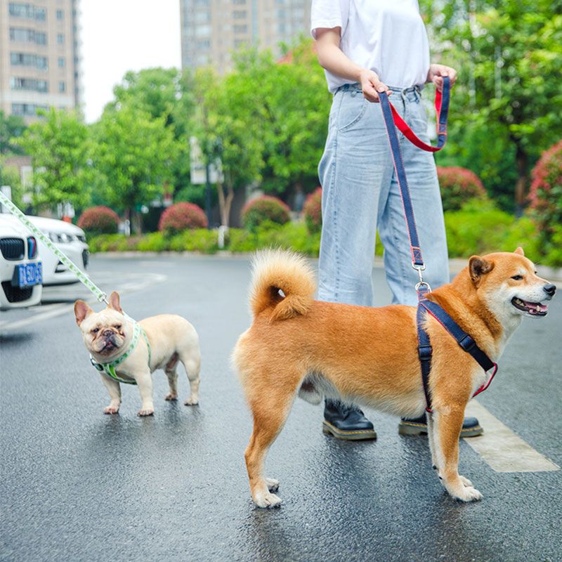 Dog Leash Dog Chain Walking Dog Leash Collar Harness Puppies Small Medium Dog Teddy Corgi Pet Supplies