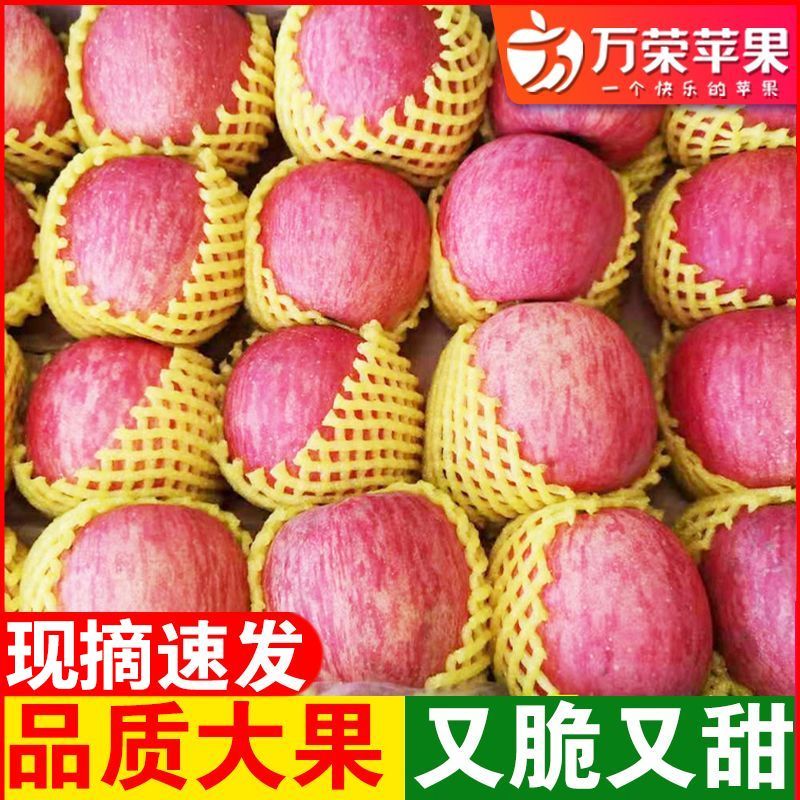 【品牌保障】万荣苹果水果运城红富士苹果5/9斤脆甜冰糖心丑苹果