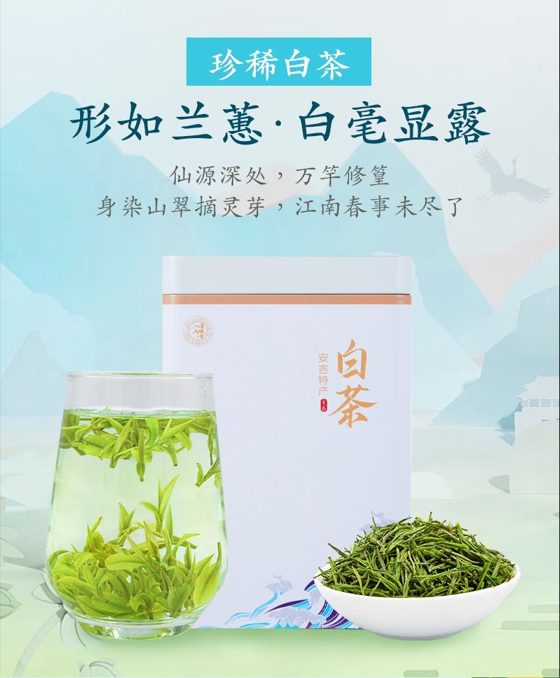 2023新茶珍稀白茶源自安吉产地茶叶绿茶雨前特一级高山白茶毛峰茶