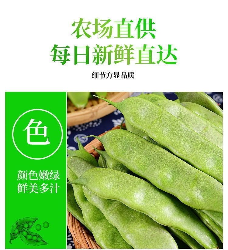 东北油豆角新鲜蔬菜一点红大宽面豆角开锅烂辽宁