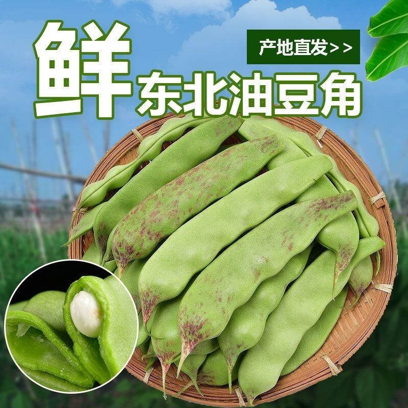 东北油豆角新鲜蔬菜一点红大宽面豆角开锅烂辽宁