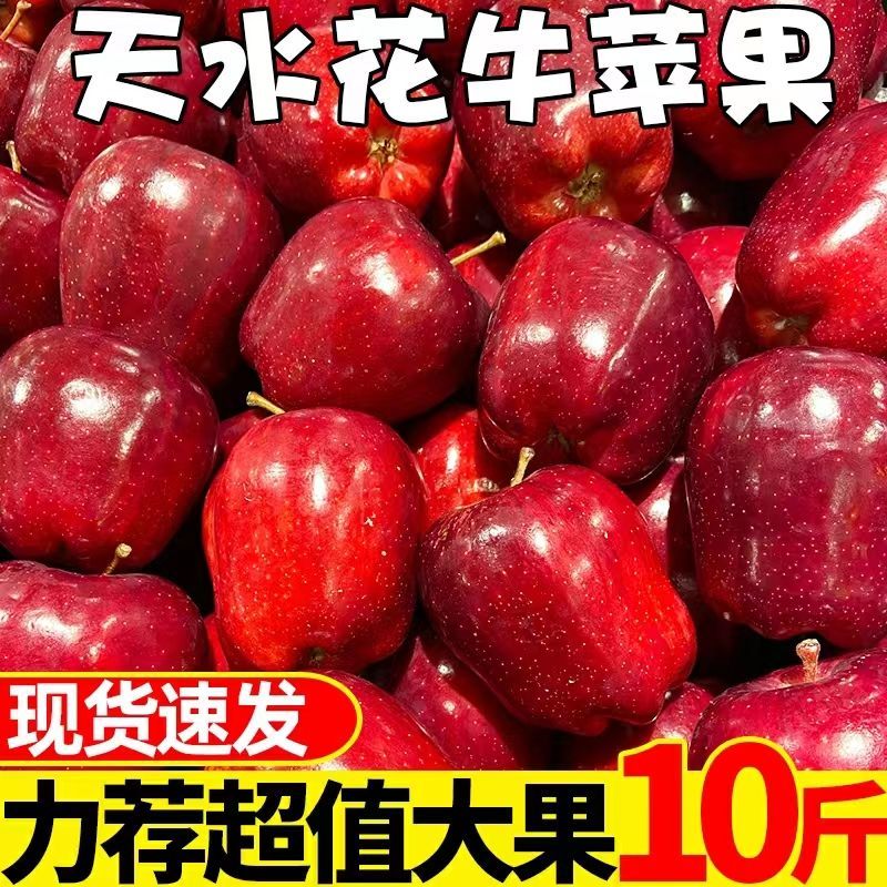 甘肃【天水花牛苹果】水果新鲜10斤包邮应季批发苹果
