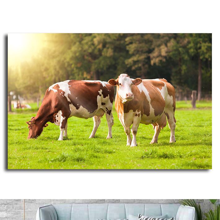 草地上的黄牛奶牛水牛牛气冲天动物海报制作餐馆饭店贴墙画自粘1