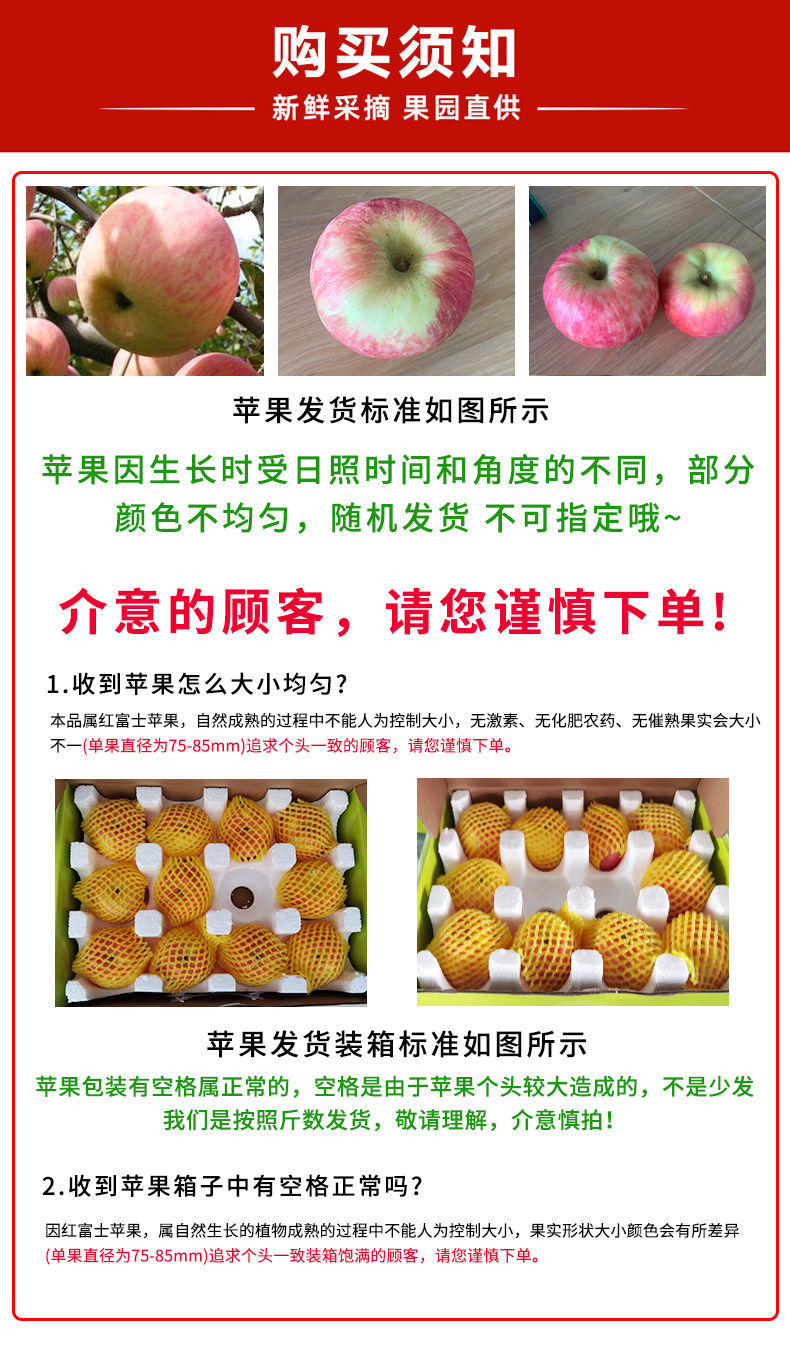 陕西旬邑红富士苹果脆甜多汁新鲜水果5/9斤