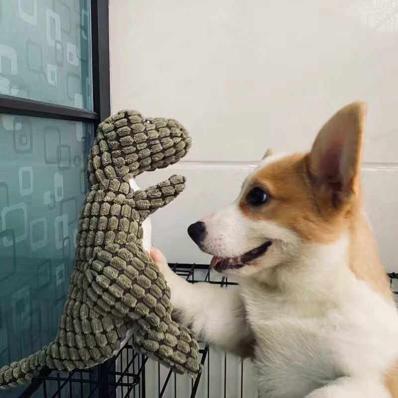 Dog toys that emit sounds to relieve boredom, artifacts that are not resistant to biting, pet teeth grinding, plush teddy puppies, small dog bears, etc