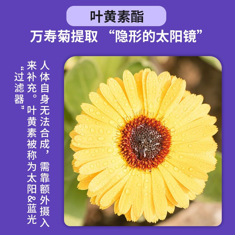 【4瓶装】英贝健DHA蓝莓叶黄素酯软糖藻油糖果儿童青少年