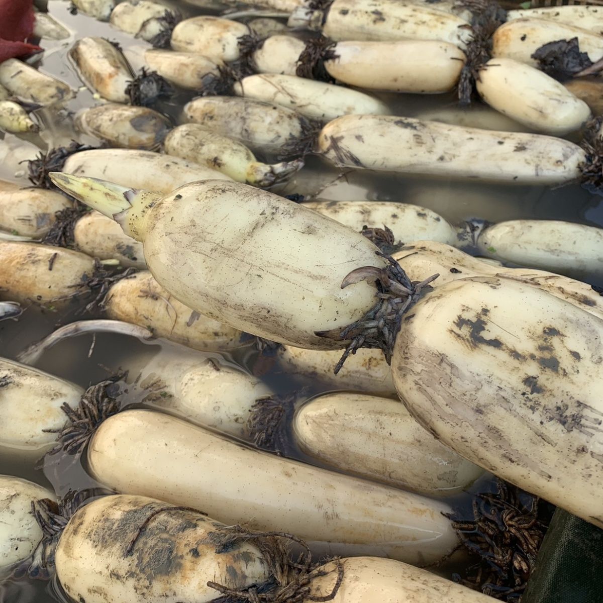 欢迎来到土特产直购主站