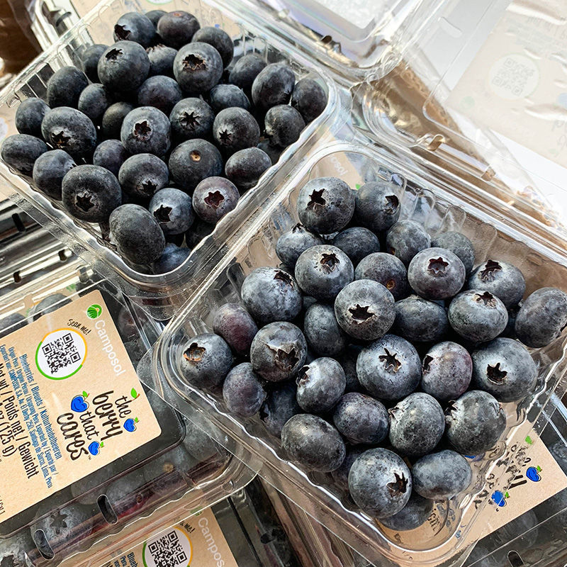 蓝莓新鲜当季水果蓝梅鲜果高山怡颗甜莓整箱大果8盒