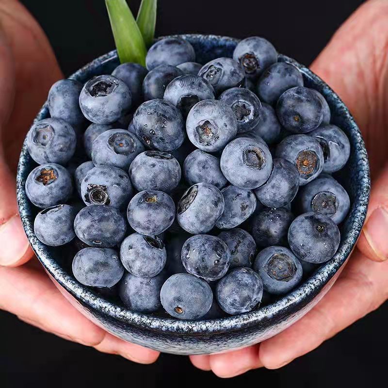 蓝莓新鲜当季水果蓝梅鲜果高山怡颗甜莓整箱大果8盒