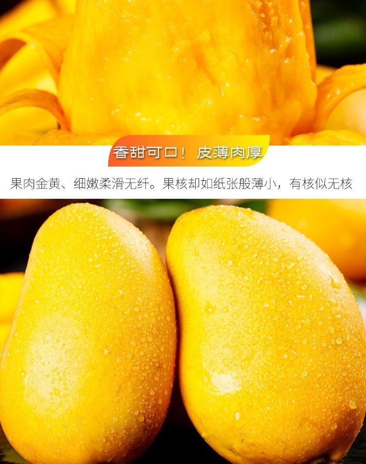 泰初源 现货海南小台农10斤芒果新鲜当季热带水果广西芒果整箱装包邮
