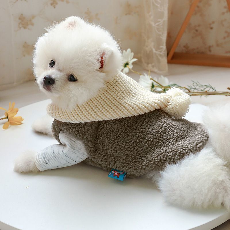 韩版马甲宠物衣服狗狗服装秋冬柔软羊羔绒保暖衣小型犬泰迪比熊