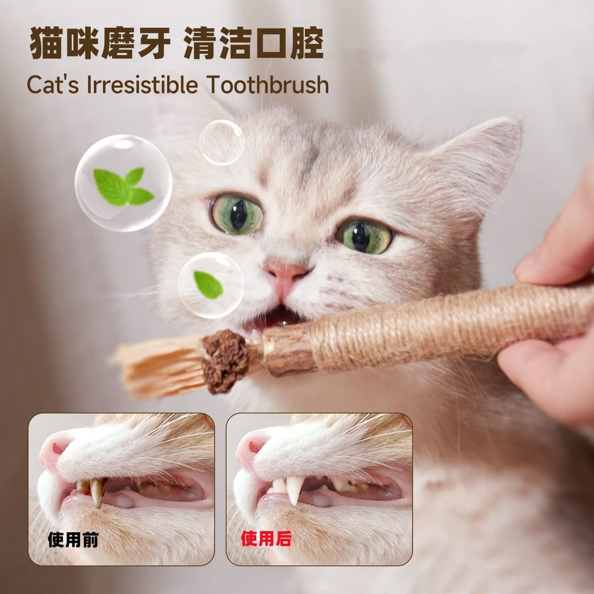 猫咪磨牙磨牙棒虫瘿果猫咪洁齿玩具木天蓼棒拉菲草洁牙清洁口腔
