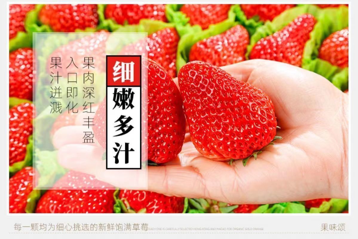 泰初源 新鲜现摘红颜99牛奶草莓应季水果孕妇儿童水果产地直发