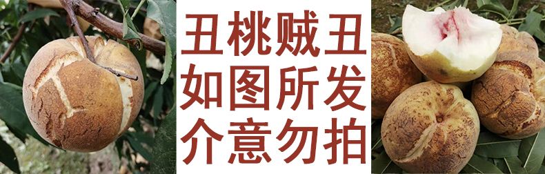 山东爆炸桃甜裂桃爆甜裂嘴桃丑桃子脆桃开口笑脆甜开裂桃子冬桃