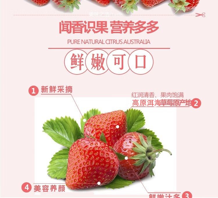 泰初源 巧克力奶油草莓新鲜顺丰包邮水果应季双流冬草莓同品种现摘现发