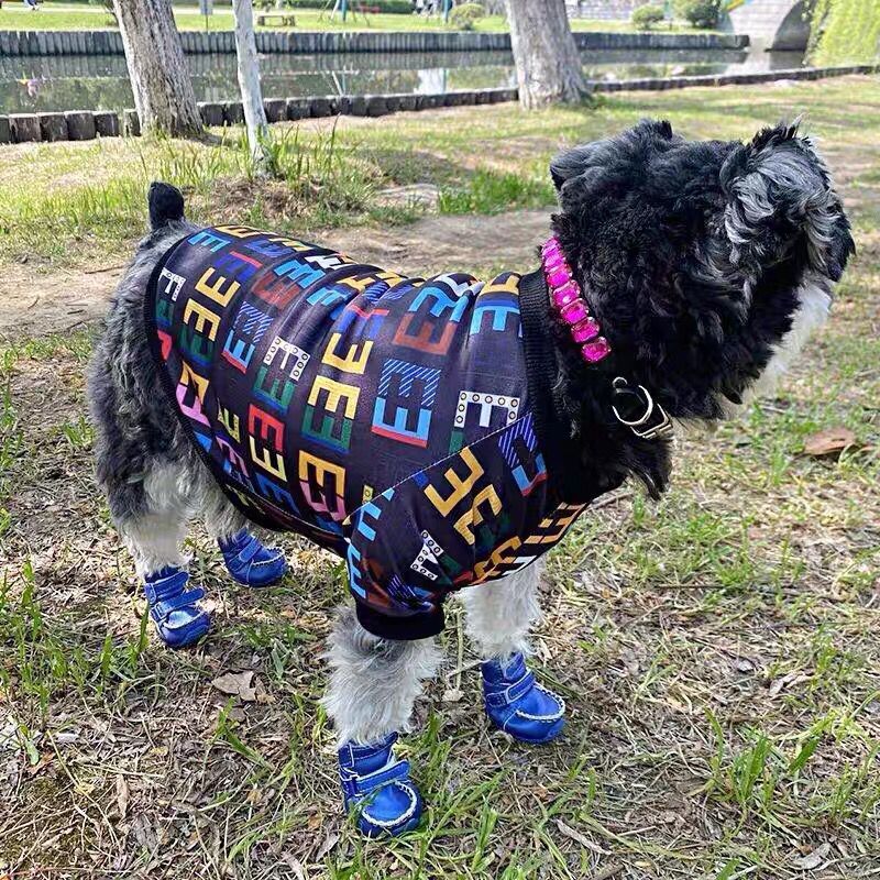 Pet clothing, two legged autumn and winter clearance sweaters, teddy bear, koki dog clothing, puppets, blue cat and cat clothing