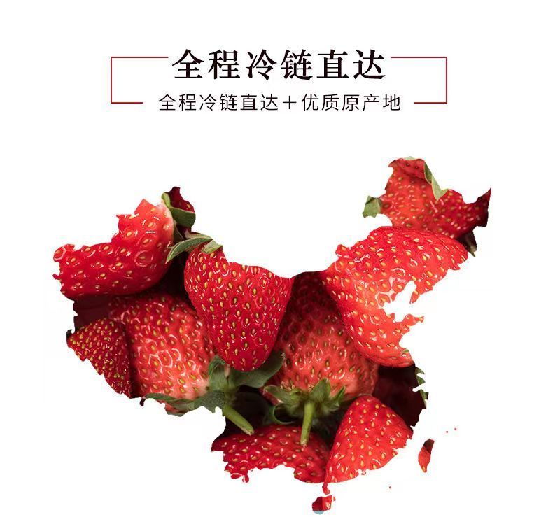 泰初源 四川凉山红颜奶油大草莓新鲜孕妇水果甜牛奶草苺应季甜一整箱商用