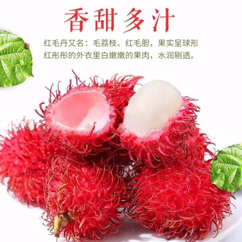 红毛丹当季热带新鲜水果批发毛荔枝