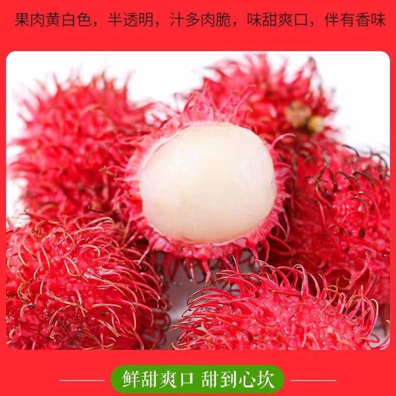 红毛丹当季热带新鲜水果批发毛荔枝