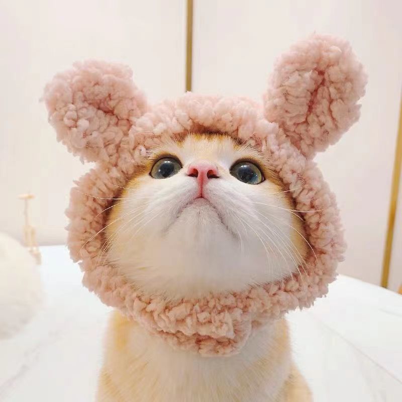 猫咪可爱变装头套猫咪头饰狗生日帽针织青蛙兔子狮子小熊宠物帽子