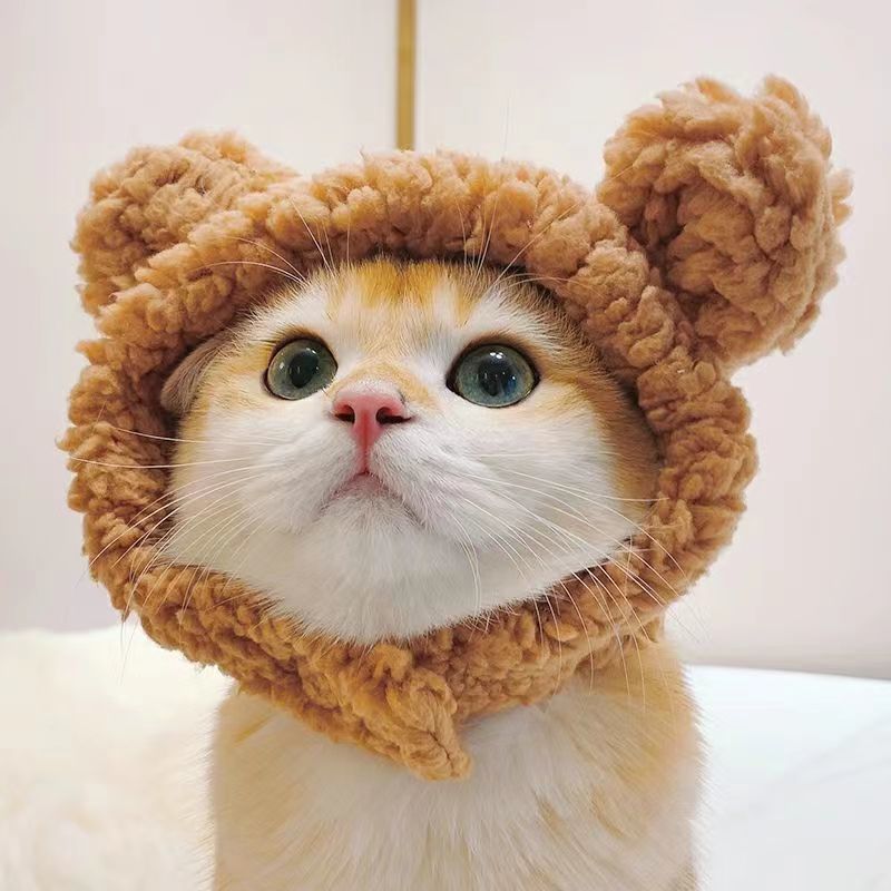 狗狗帽子冬天可爱熊耳朵帽子泰迪玩偶猫耳头饰宠物幼猫咪头套帽子