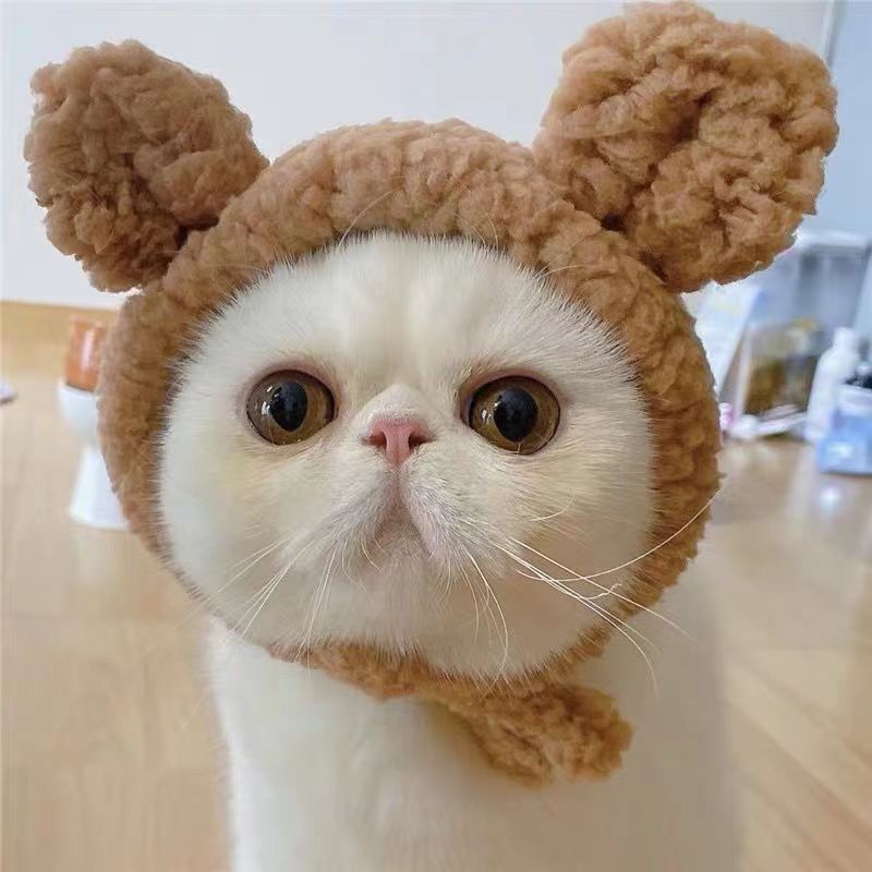 狗狗帽子冬天可爱熊耳朵帽子泰迪玩偶猫耳头饰宠物幼猫咪头套帽子