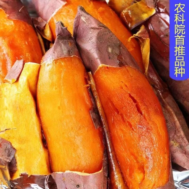 山东烟薯25糖心正宗红薯地瓜流油农家新鲜沙地蜜薯红心番薯批发 图片 6