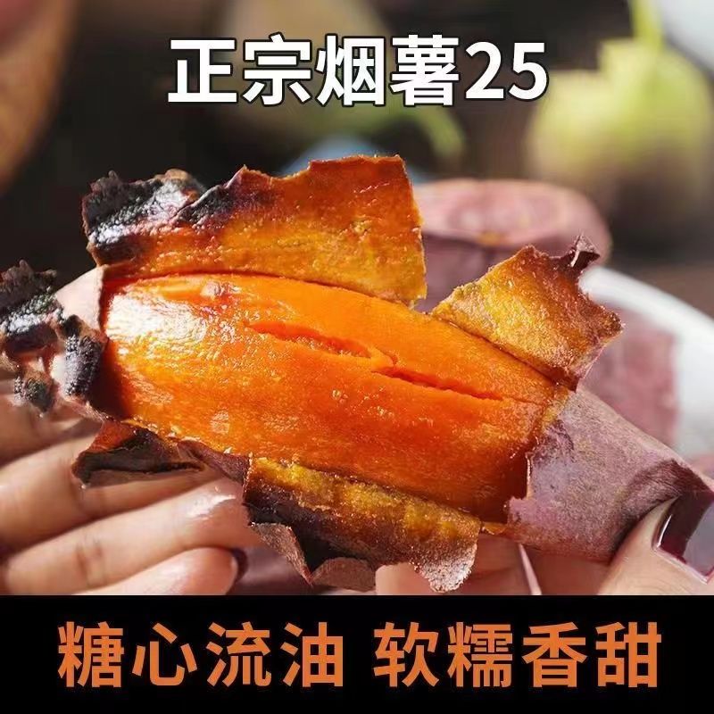 山东烟薯25糖心正宗红薯地瓜流油农家新鲜沙地蜜薯红心番薯批发 图片 4