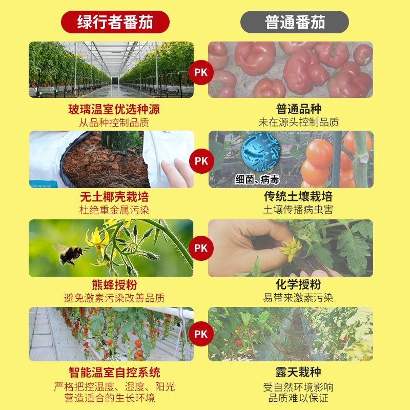 【绿行者】桃太郎番茄畅享5斤沙瓤西红柿子新鲜现摘蔬菜生吃水果
