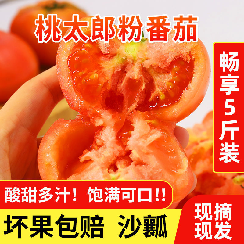 【绿行者】桃太郎番茄畅享5斤沙瓤西红柿子新鲜现摘蔬菜生吃水果