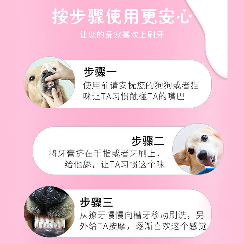 猫牙刷牙膏套装宠物狗狗猫咪专用小型犬除口臭清洁用品