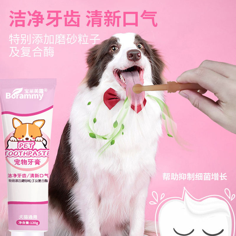 猫牙刷牙膏套装宠物狗狗猫咪专用小型犬除口臭清洁用品