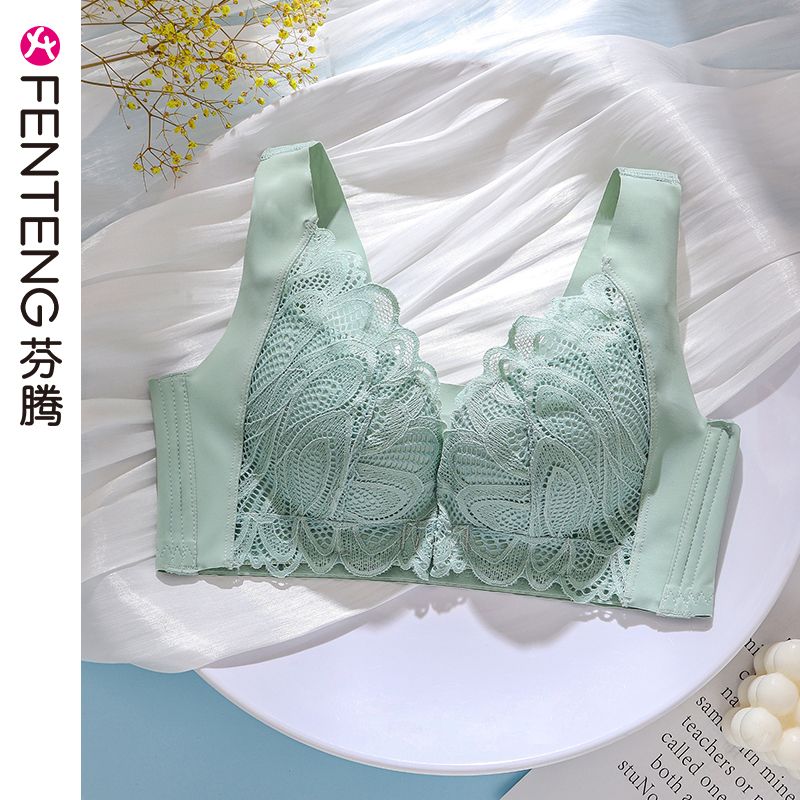Fenteng beauty back front buckle underwear women's small breasts gather without steel ring adjustable breast lifting anti-sagging bra