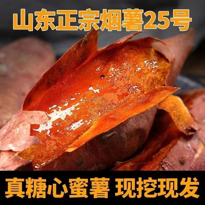 山东烟薯25糖心正宗红薯地瓜流油农家新鲜沙地蜜薯红心番薯批发 图片 9
