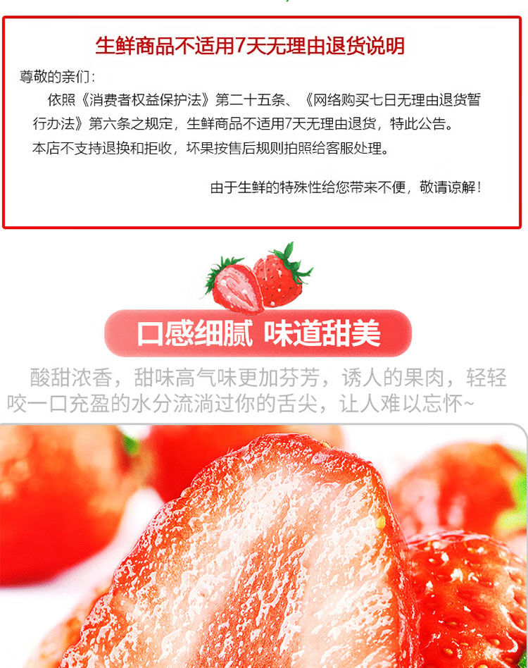 泰初源 【5斤大果】现摘红颜奶油草莓生鲜新鲜水果高品质牛奶草莓大果装