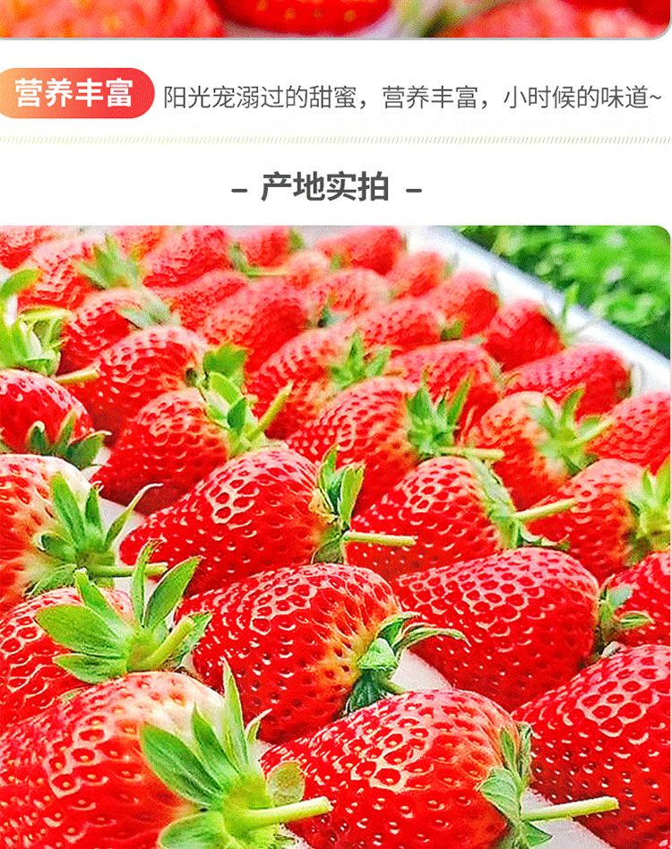 泰初源 【5斤大果】现摘红颜奶油草莓生鲜新鲜水果高品质牛奶草莓大果装