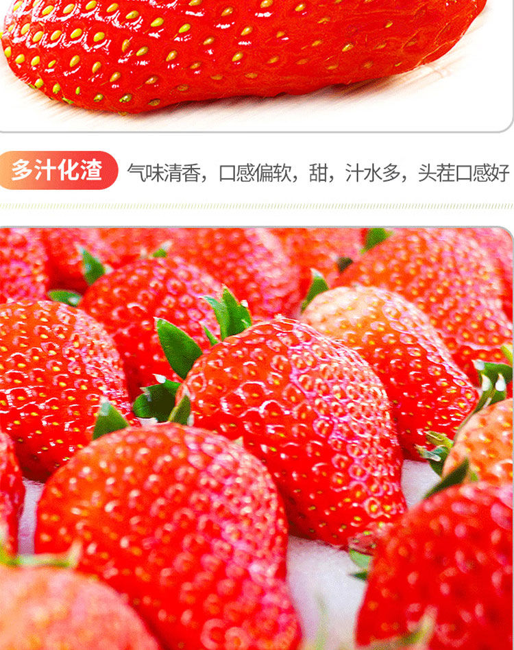 泰初源 【5斤大果】现摘红颜奶油草莓生鲜新鲜水果高品质牛奶草莓大果装