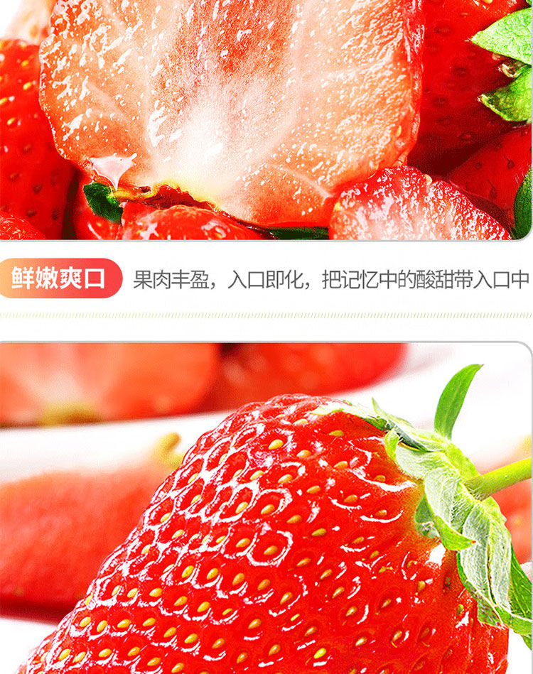 泰初源 【5斤大果】现摘红颜奶油草莓生鲜新鲜水果高品质牛奶草莓大果装