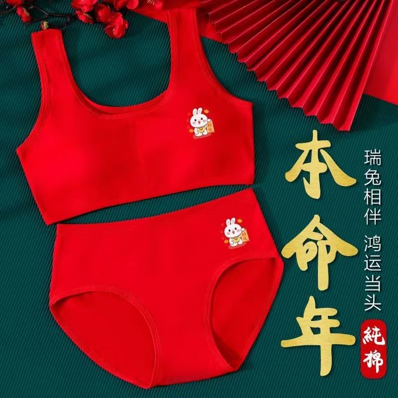 Children's natal year underwear underwear set junior high school students 12 years old vest big boy rabbit year tube top girl red bra