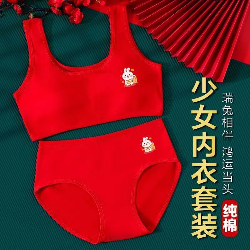 Children's natal year underwear underwear set junior high school students 12 years old vest big boy rabbit year tube top girl red bra