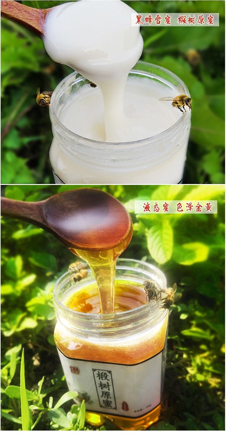 野生蜂蜜能保存多久(野生蜂蜜可以放几年) 野生蜂蜜能保存多久(野生蜂蜜可以放几年)