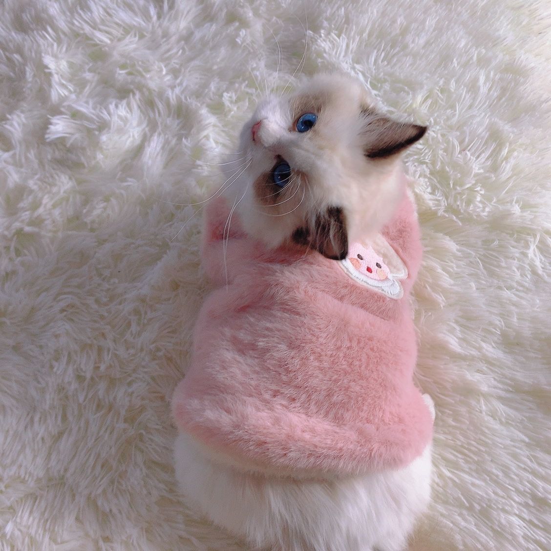 猫咪衣服秋冬季布偶猫保暖背心绒衣宠物狗狗衣服小猫猫幼猫防掉毛